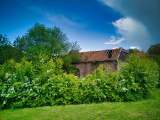 Ruins in a landscape