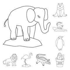 Vector illustration of entertainment and forest sign. Collection of entertainment and park stock vector illustration.