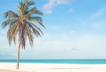 Obraz na płótnie Canvas Strand auf Aruba, Karibik