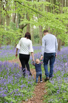 young family walking in the bluebell woods holding hands 