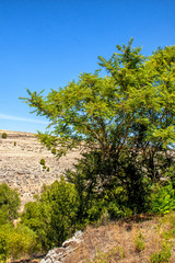 Contrastes en Segovia