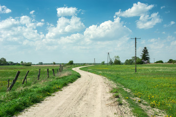 Fototapeta na wymiar Country road through green pastures, wooden posts in the fence, yellow flowers in the grass and electric poles