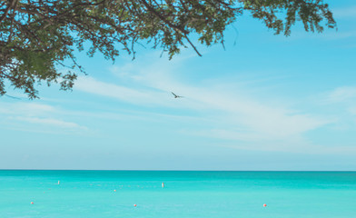 Aruba in der Karibik