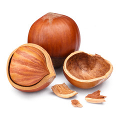 Hazelnuts, isolated on white background