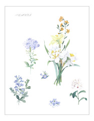 Beautiful watercolor flowers for your design and greeting cards for the holiday