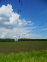 electricity pylons in the field