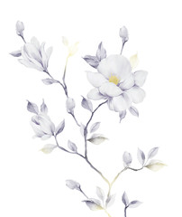 watercolor flowers set,It's perfect for greeting cards,wedding invitation, wedding design,birthday and mothers day cards,Watercolor botanical illustration isolated on white background