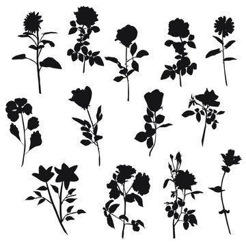 Vector silhouettes of different kinds of flowers, rose, Lily, sunflower, chamomile, cornflower, black color, isolated on white background