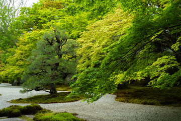 日本庭園」