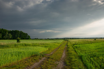 Dirt road through green fields, storm clouds and sunlight