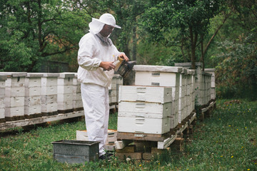 worker in protective wear using bee smoker in apiary