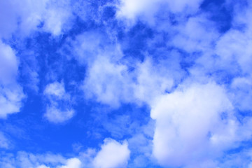 Obraz premium Cirrocumulus clouds. Close-up. Background. Landscape.