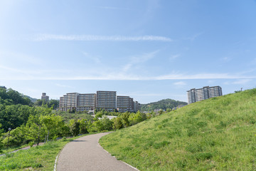 彩都周辺　景色