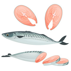 Whole, fillet and sliced mackerel. Vector illustration with sea fish in cartoon style. Steak and pieces of ocean fish isolated on white background.