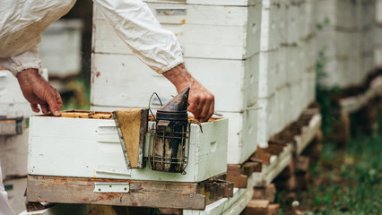 closeup of bee smoker hanging on a hive.