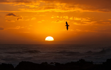 Südafrika Sunset