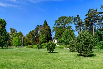 ogród z zielonym trawnikiem i drzewami