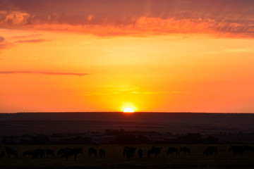 Colorful cloudy sunrise in Kenya