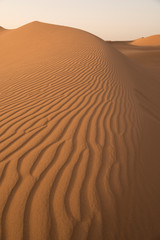Fototapeta na wymiar Sand dune relief