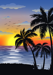 Fototapeta na wymiar Exotic tropical landscape with palms. Palm trees at sunset or moonlight, with cloudy sky. Seascape. Tourism and travelling. Vector flat design