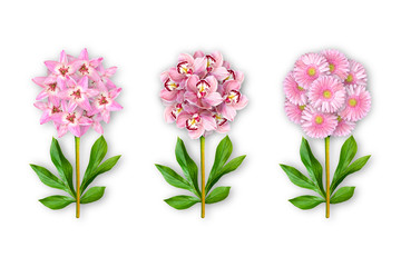 Three fantastic flower on a white background. The composition of pink lilies, orchids and gerberas. Art object. Minimalism.
