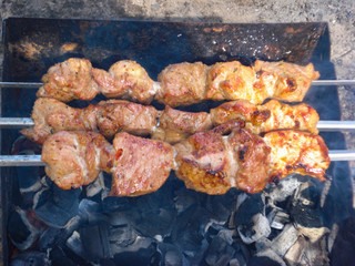 Meat roasting on skewers brazier. Picnic