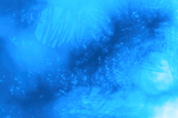 Fototapeta na wymiar abstract background of blue color. blurred background of the branches of a tree on the background of bright light