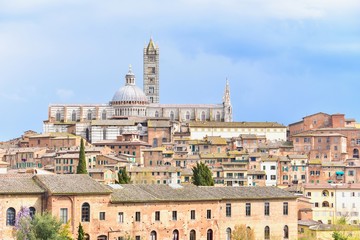 Fototapeta premium Cityscape View of Siena Town with Siena Cathedral in Tuscany, Italy