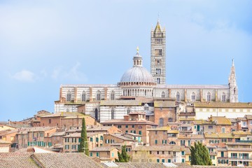 Fototapeta na wymiar Cityscape of Siena, Medieval City in Tuscany Region, Italy