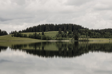 Obraz premium Baumspiegelung im See