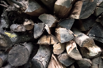 Woodpile background. Firewood close-up, background made of spilled chopped wood