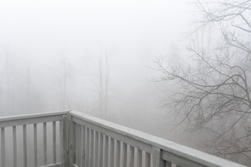 Dense Fog on House Backyard