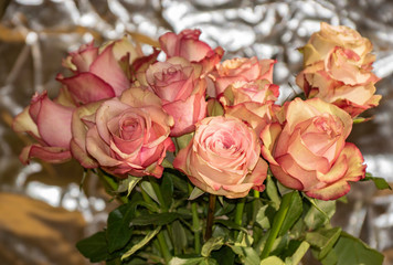 flora, flowers, bouquet, pink, roses, buds, petals, tenderness, beauty