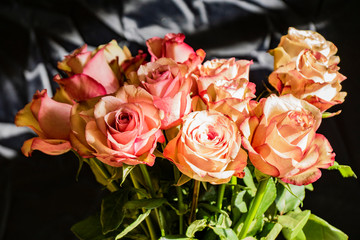 flora, flowers, bouquet, pink, roses, buds, petals, tenderness, beauty