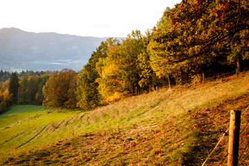 Naklejka premium sunset in the austrian alps shining at an alpine meadow at the mountains in the autumn