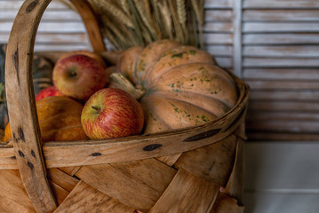 Colored fall vegetables on the vintage boards. Autumn decorations in vintage wicker basket. A cornucopia with squash, gourds, pumpkins, wheat and leaves. Toned image with copy space. Harvest time.
