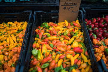 Farmer's market California, USA. Concept of fresh organic food market. Chilli for sale in market. Colorful chili peppers on display at a farmers shop. Organic vegetable. Bio and eco food.