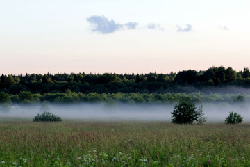 Fototapeta na wymiar Fog in the field