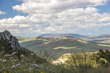 Obraz premium Beautiful grass and flowers in rural landscape in spring, hills and field with blue sky