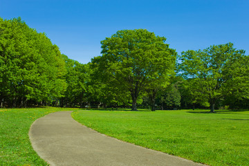 Garden path