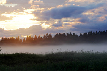 Fototapeta premium Sunset in the fog on a summer evening