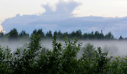 Sunset in the fog