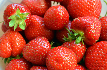 Erdbeeren