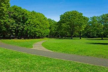 Garden path