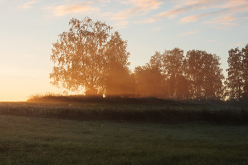 Meadow landscape with mist at dawn