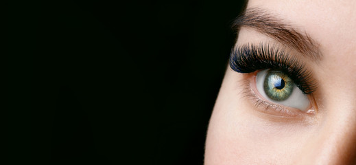 Close up view of beautiful green female eye with long eyelashes and perfect trendy eyebrows on dark...