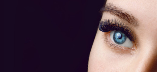 Close up view of beautiful blue female eye with long eyelashes and perfect trendy eyebrows on dark...