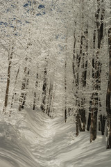 pejzaż zimowy, zima w górach © Marcin