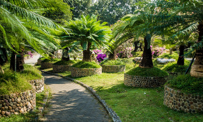 Luxury landscape design of the tropical garden. Beautiful view of tropical landscape