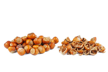 Pile of hazelnuts and husks